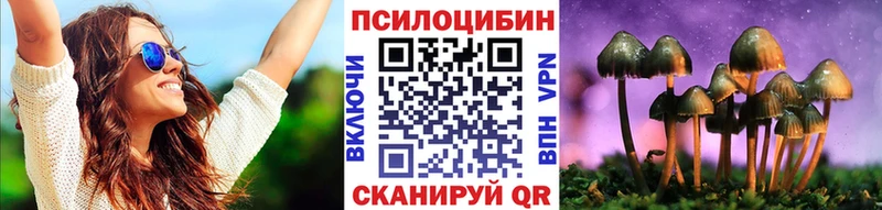 Галлюциногенные грибы MAGIC MUSHROOMS  маркетплейс официальный сайт  Куса  купить закладку 